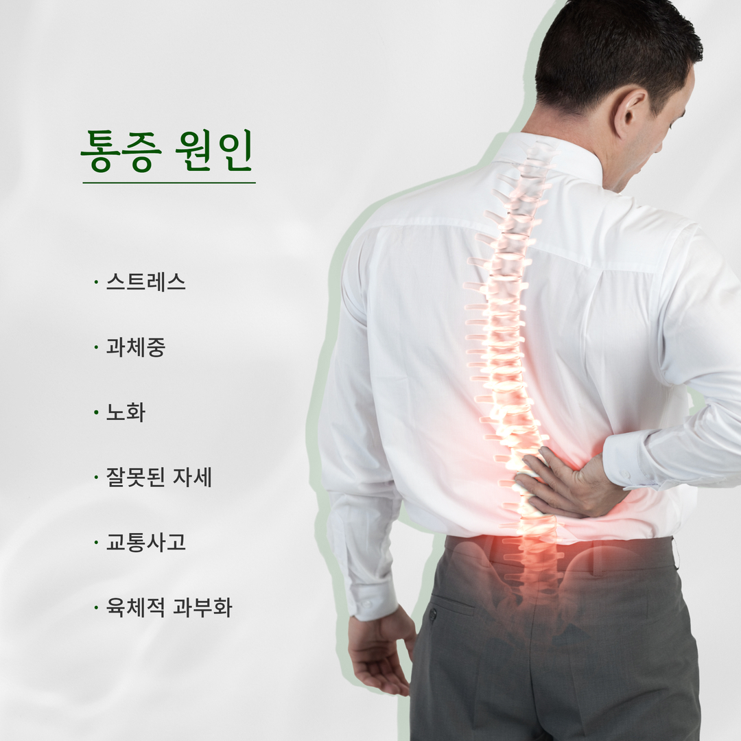 스트레스·과체중·노화·자세·교통사고·육체적 과부하를 통증 원인으로 제시한 원본 안내 이미지