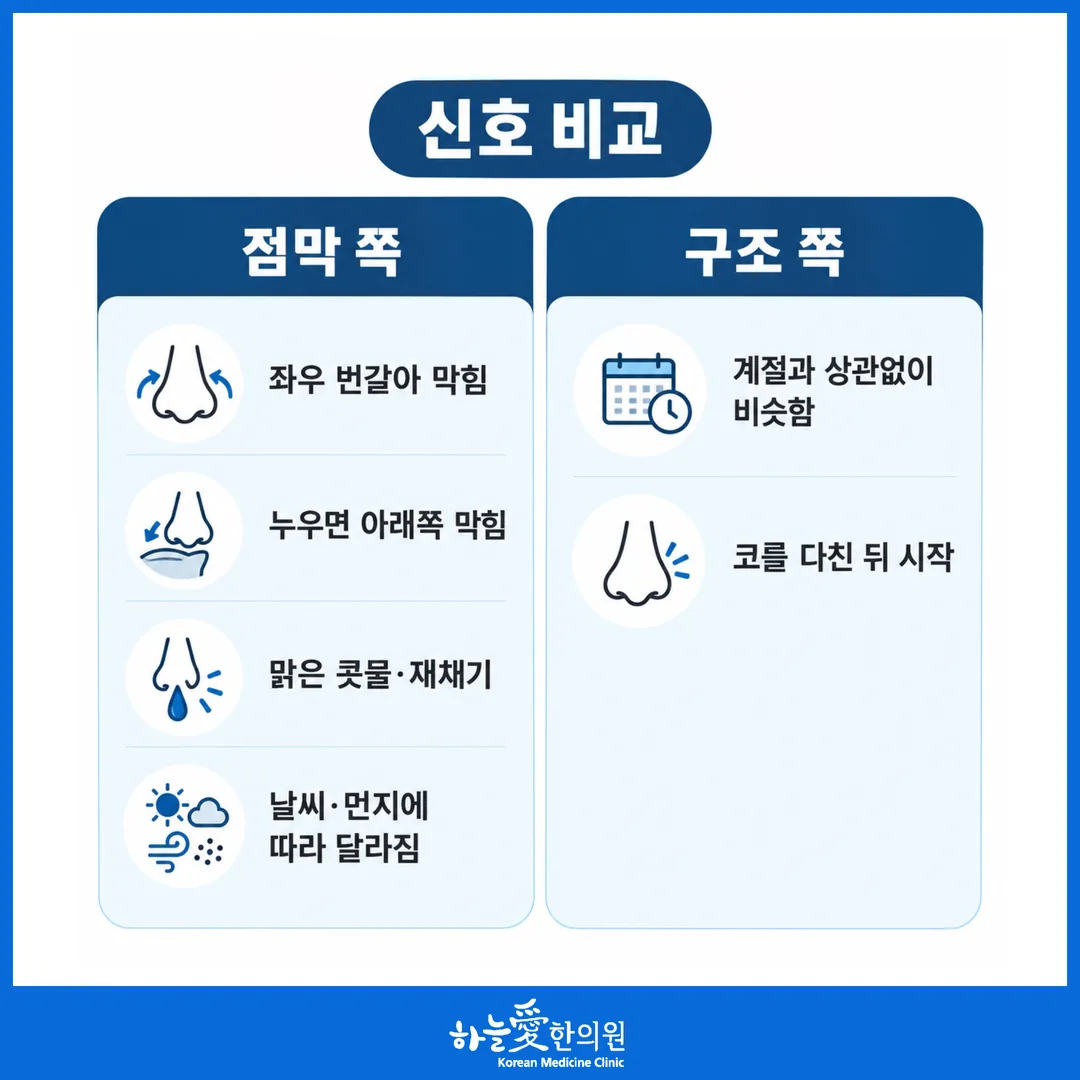점막이 붓는 코막힘과 구조 때문에 막히는 코막힘 신호 비교표