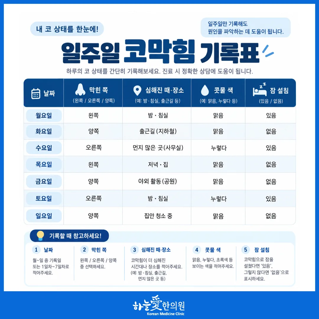 코막힘이 점막 쪽인지 구조 쪽인지 나눠 보는 일주일 기록표 예시