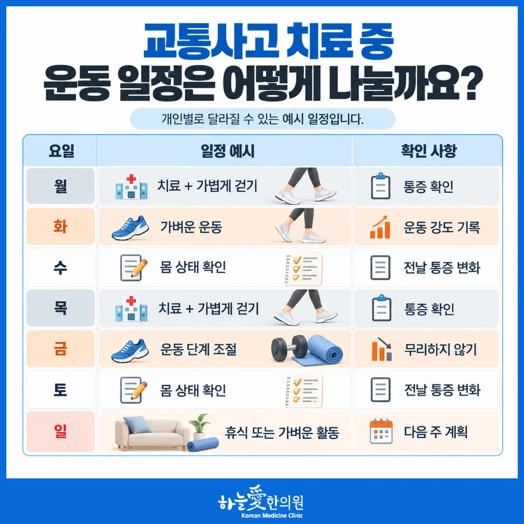 교통사고 진료 중 치료 날과 운동 날을 나눈 일주일 일정표 예시