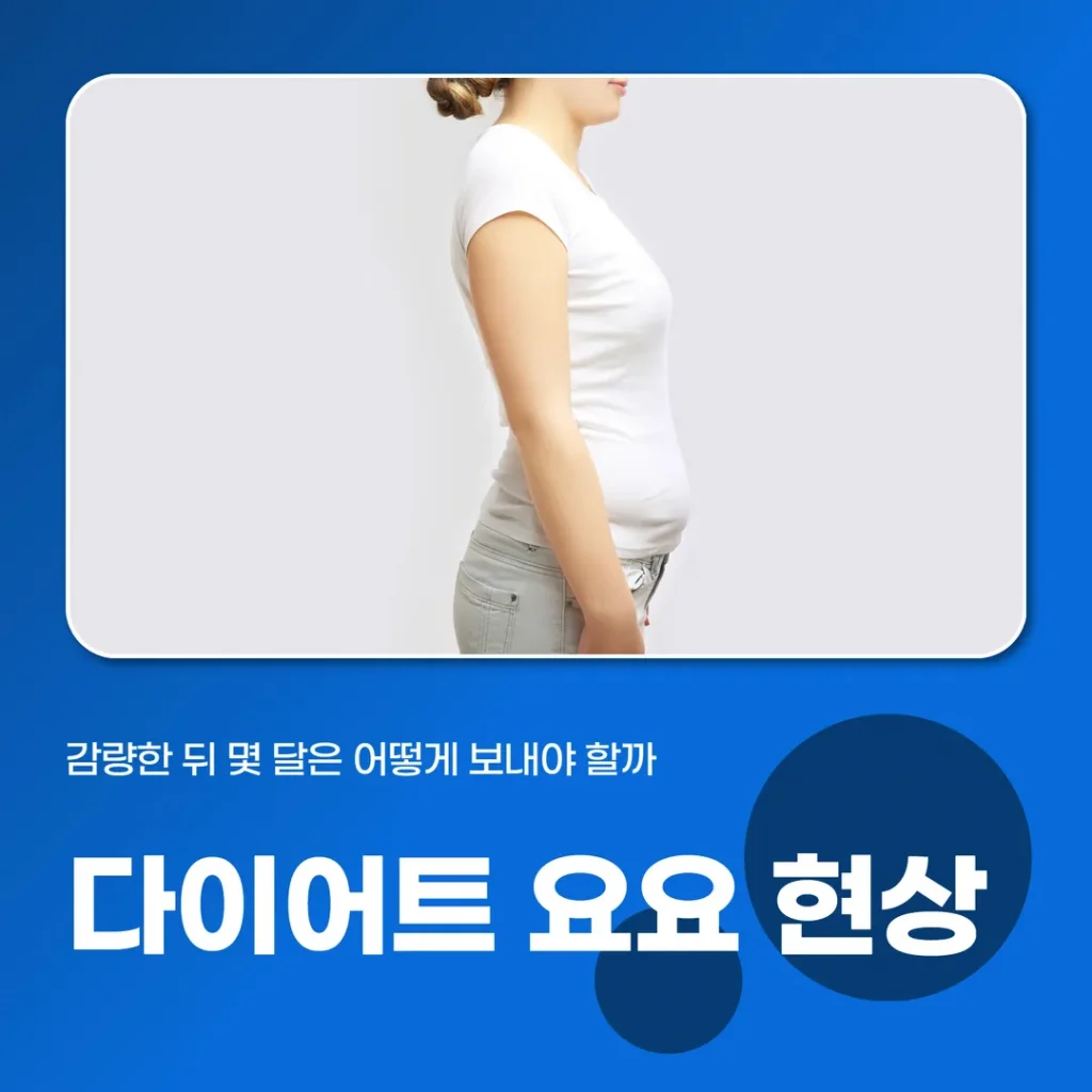 다이어트 요요 현상, 감량한 뒤 몇 달은 어떻게 보내야 할까